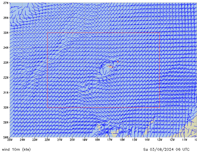 Sa 03.08.2024 06 UTC